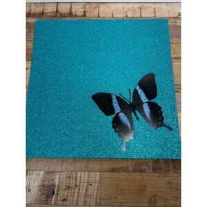 Teal Glitter Butterfly Scrapbook Paper With Black & Blue Design